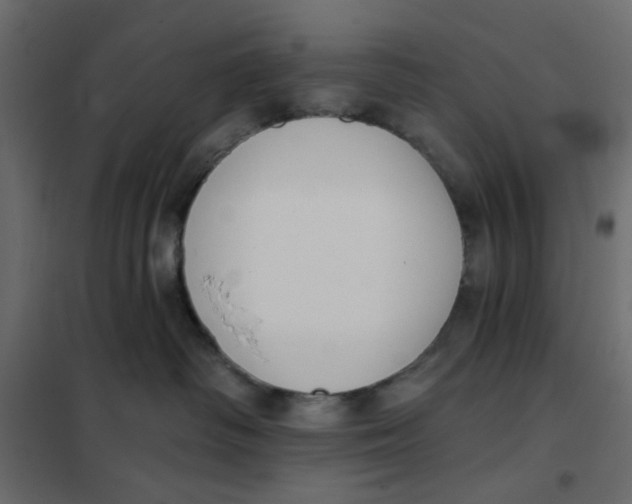 X0000102000334200808081706