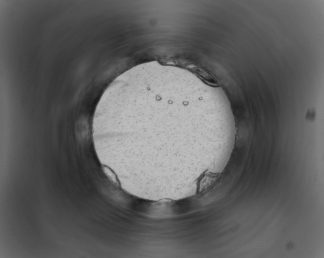 X0000102000335200808081706