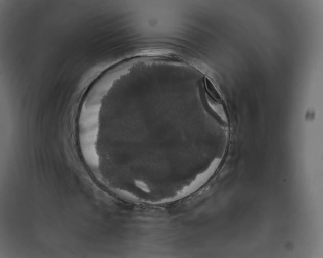 X0000102000337200808081705