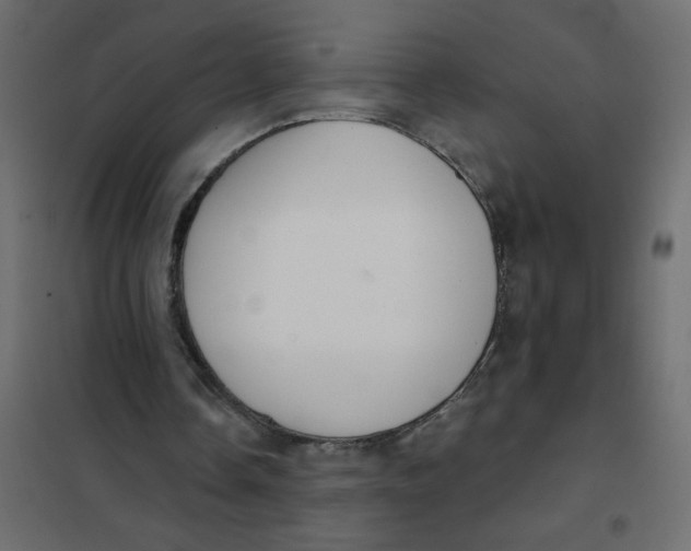 X0000102000338200808081705