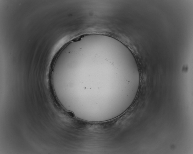 X0000102000340200808081705