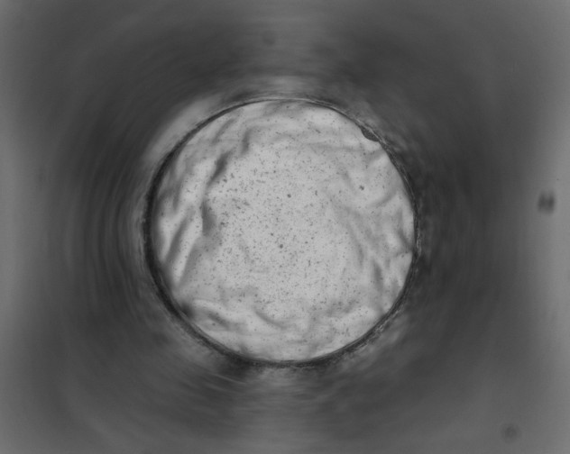 X0000102000341200808081705