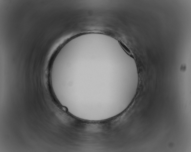 X0000102000342200808081705