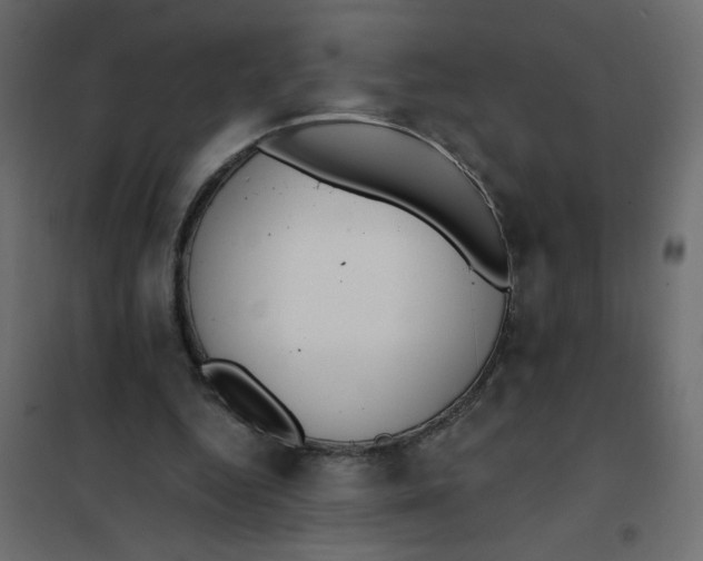 X0000102000344200808081705