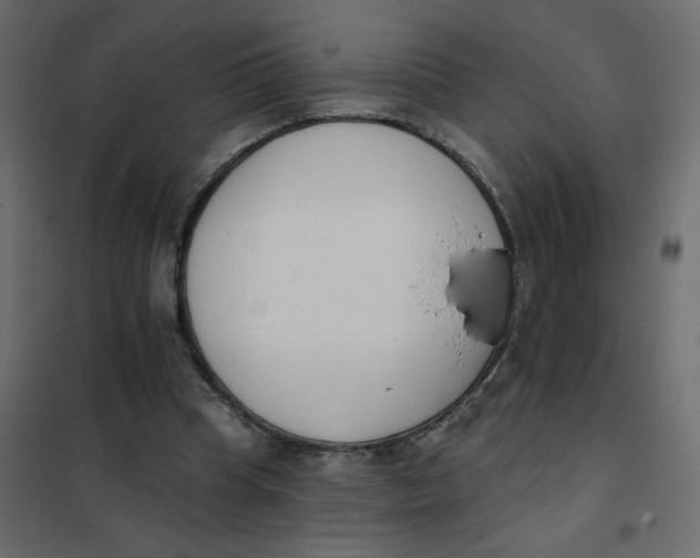 X0000102000345200808081705