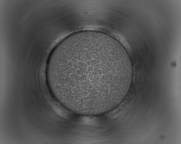 X0000102000346200808081705