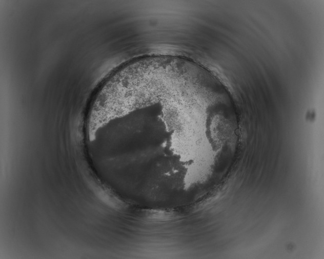 X0000102000347200808081705