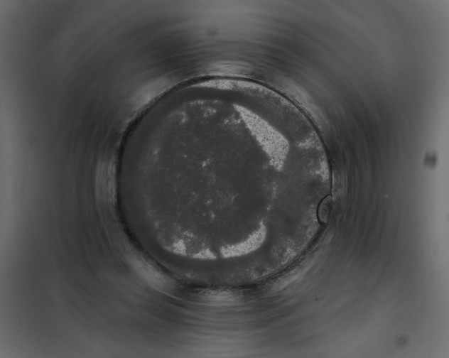 X0000102000349200808081706