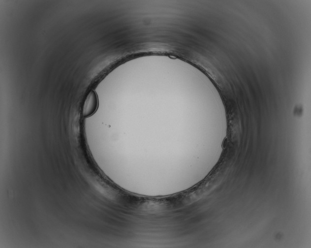 X0000102000350200808081706