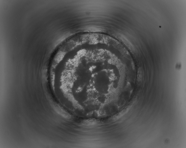 X0000102000351200808081706