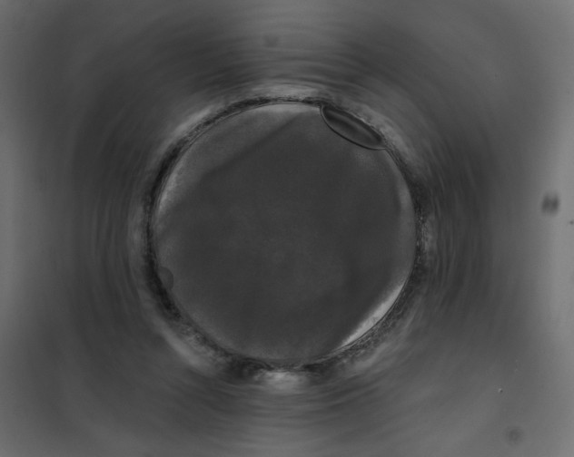 X0000102000352200808081706