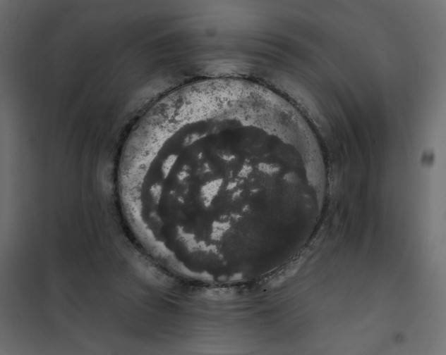 X0000102000353200808081706