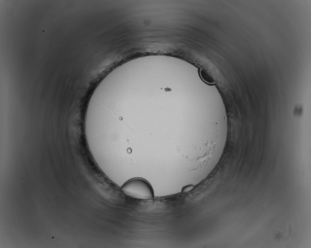 X0000102000354200808081706