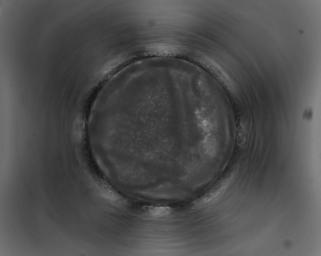 X0000102000355200808081706