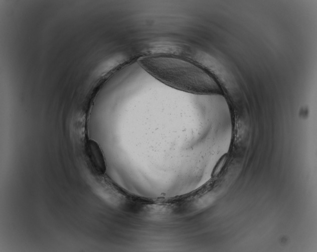 X0000102000356200808081706