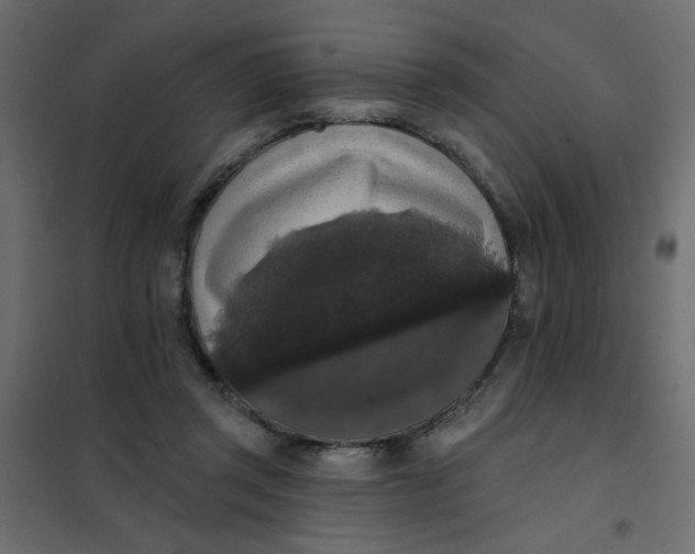 X0000102000357200808081706