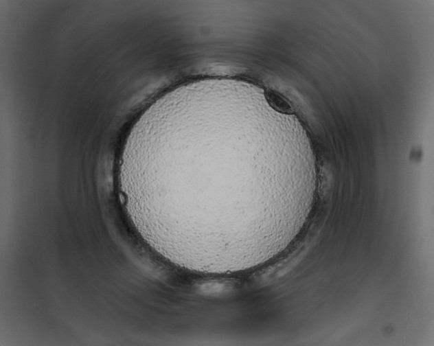 X0000102000358200808081706