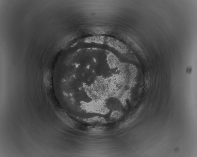 X0000102000359200808081706