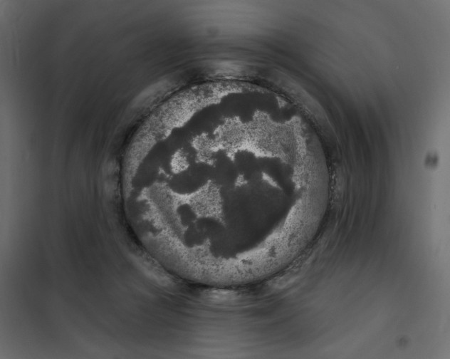 X0000102000361200808081706