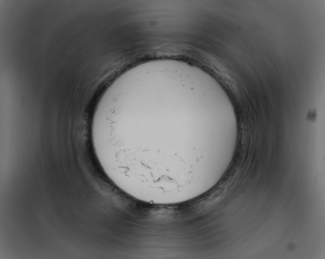 X0000102000362200808081706