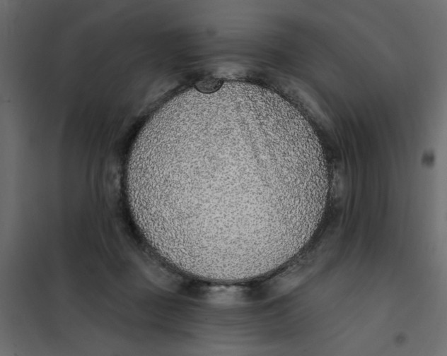 X0000102000363200808081706