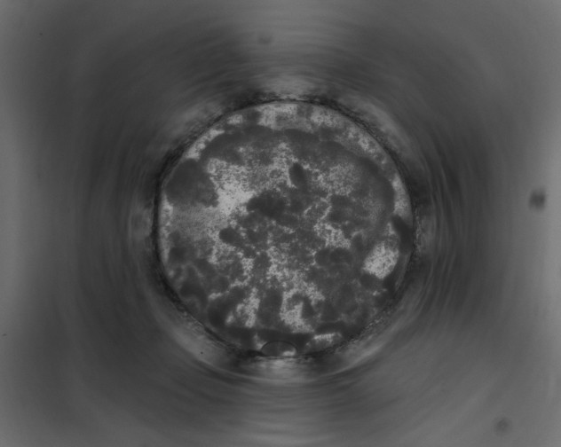 X0000102000365200808081706