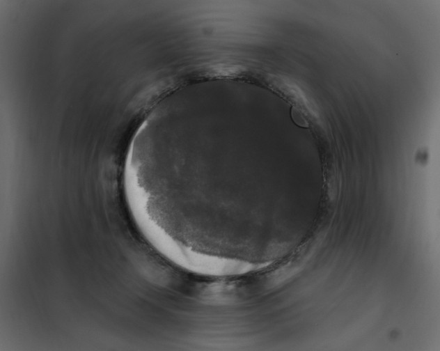 X0000102000366200808081706