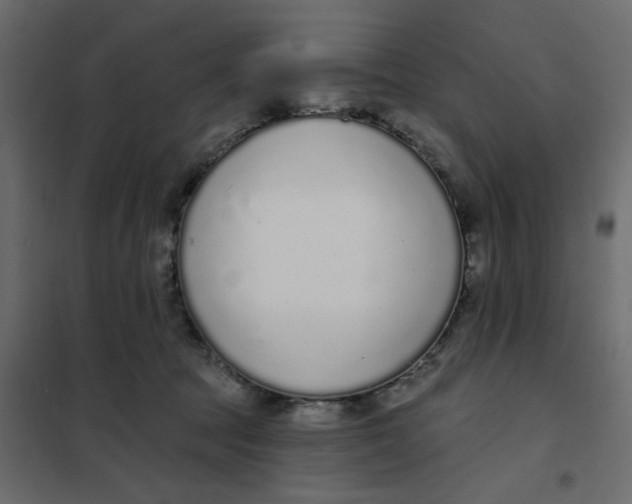 X0000102000369200808081706