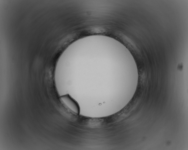 X0000102000373200808081706