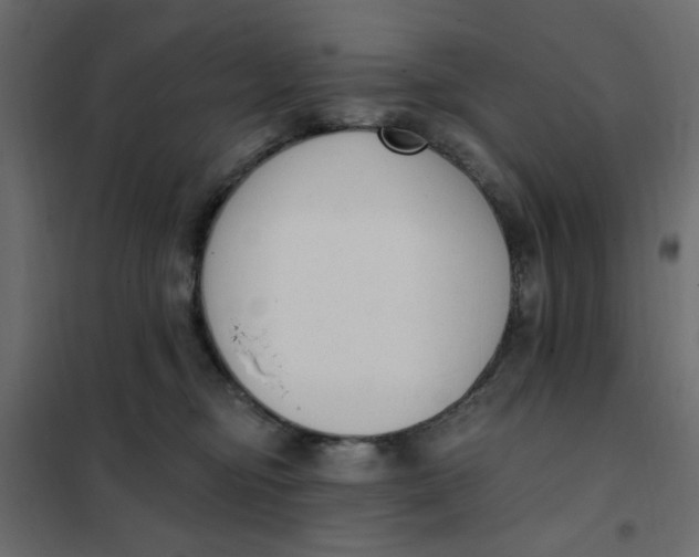 X0000102000374200808081706