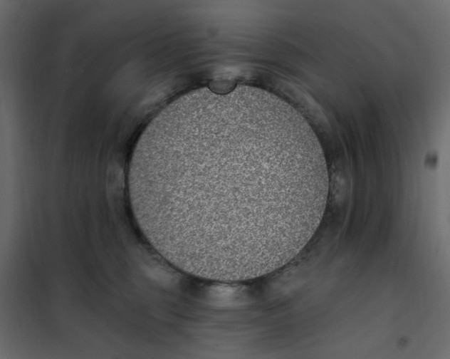 X0000102000375200808081706