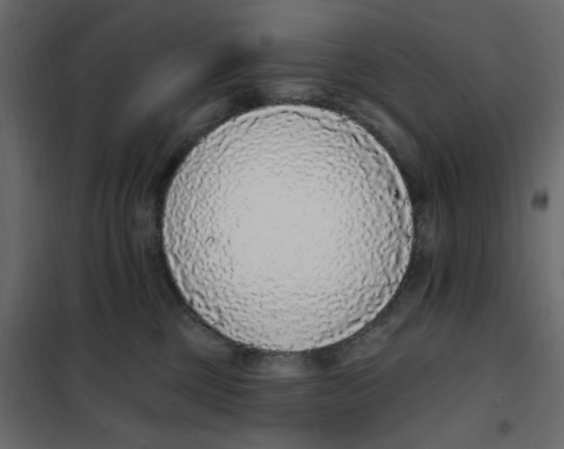 X0000102000377200808081706