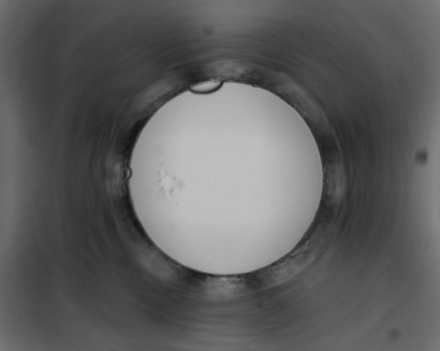 X0000102000378200808081706