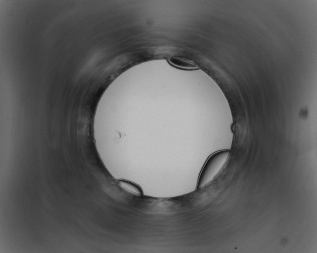 X0000102000379200808081706