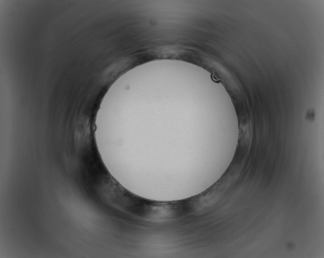 X0000102000381200808081706