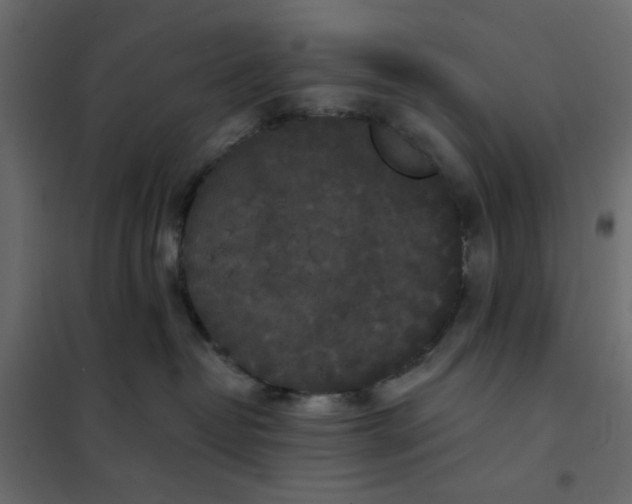 X0000102000382200808081706