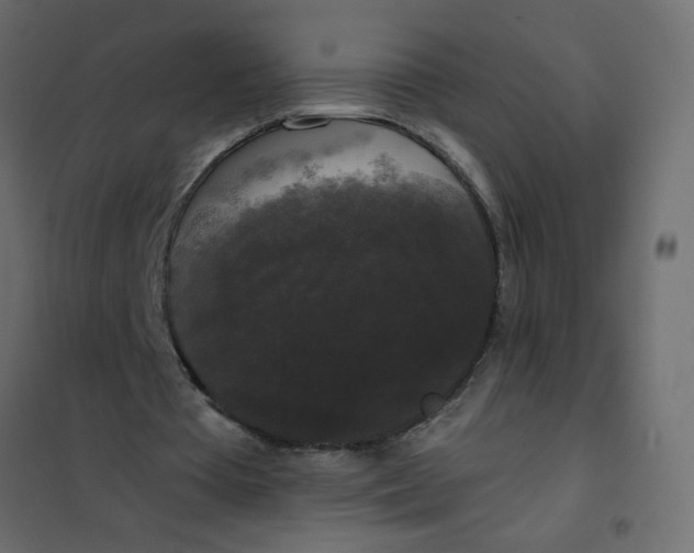 X0000102000385200808081705