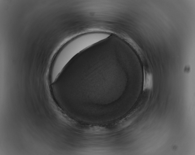 X0000102000387200808081705