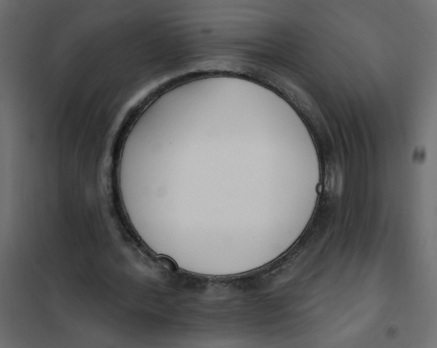 X0000102000388200808081705