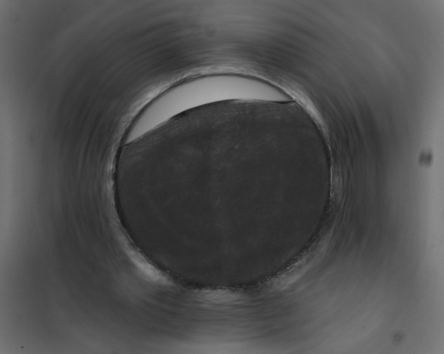 X0000102000389200808081705