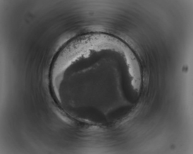 X0000102000390200808081705