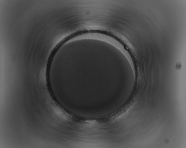 X0000102000391200808081705