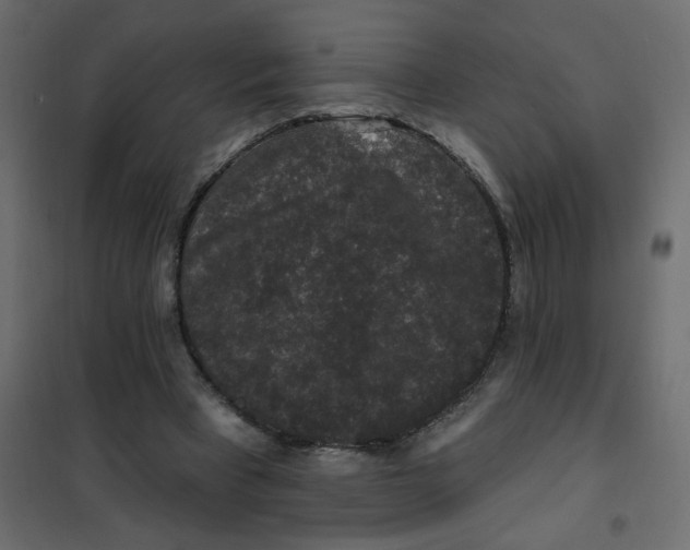 X0000102000393200808081705