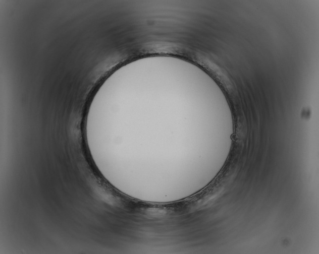 X0000102000394200808081705