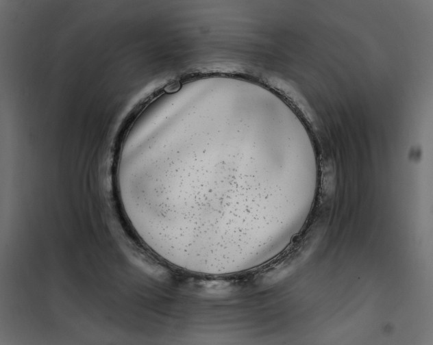 X0000102000395200808081705