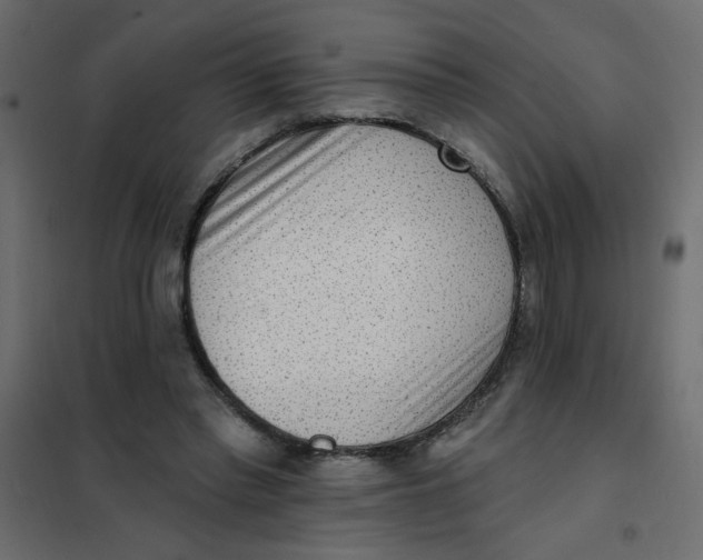 X0000102000397200808081705