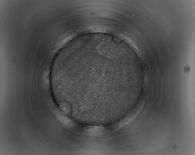 X0000102000398200808081705