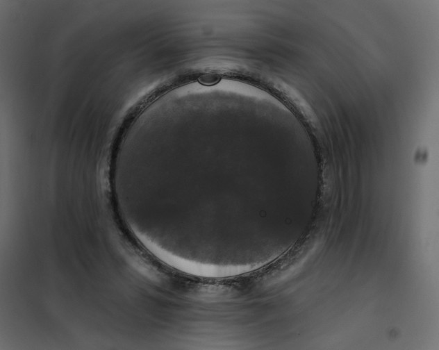 X0000102000399200808081705