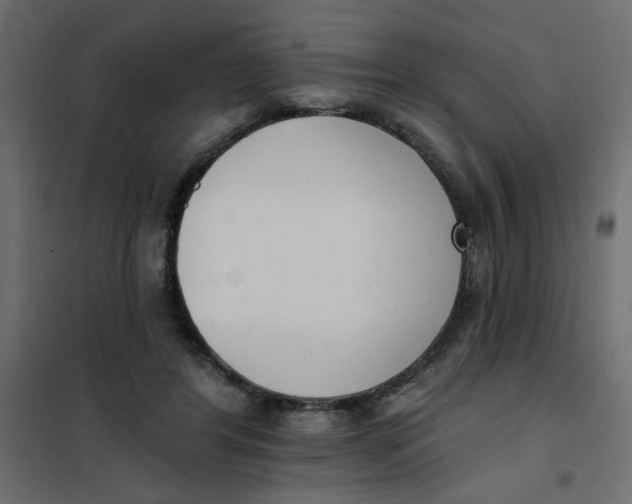 X0000102000404200808081705