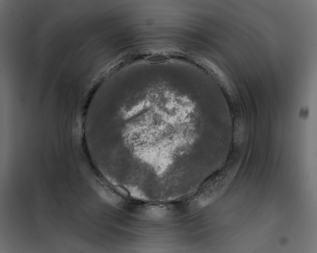 X0000102000405200808081705